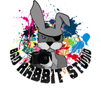 Bad Rabbit Studio